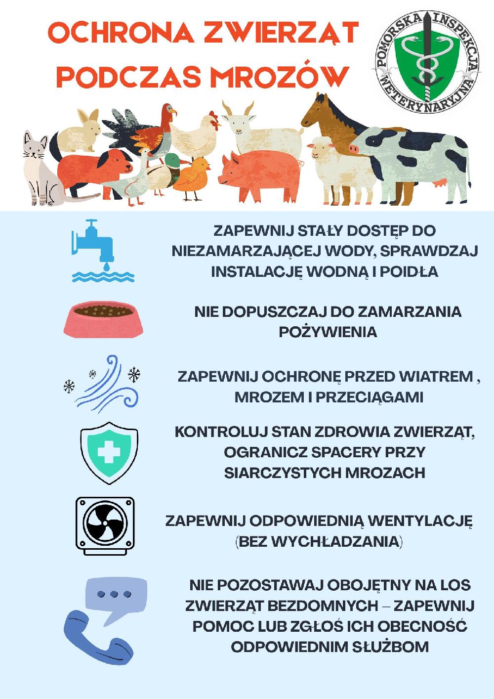 ulotka - ochrona zwierząt podczas mroz&oacute;w