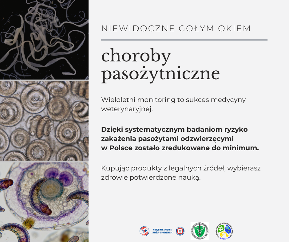 Baner z 3 zdjęciami 1 tasiemce na czarnym tle 2 pasożyty na jasnym tle 3 pasożyty wok&oacute;ł kom&oacute;rki