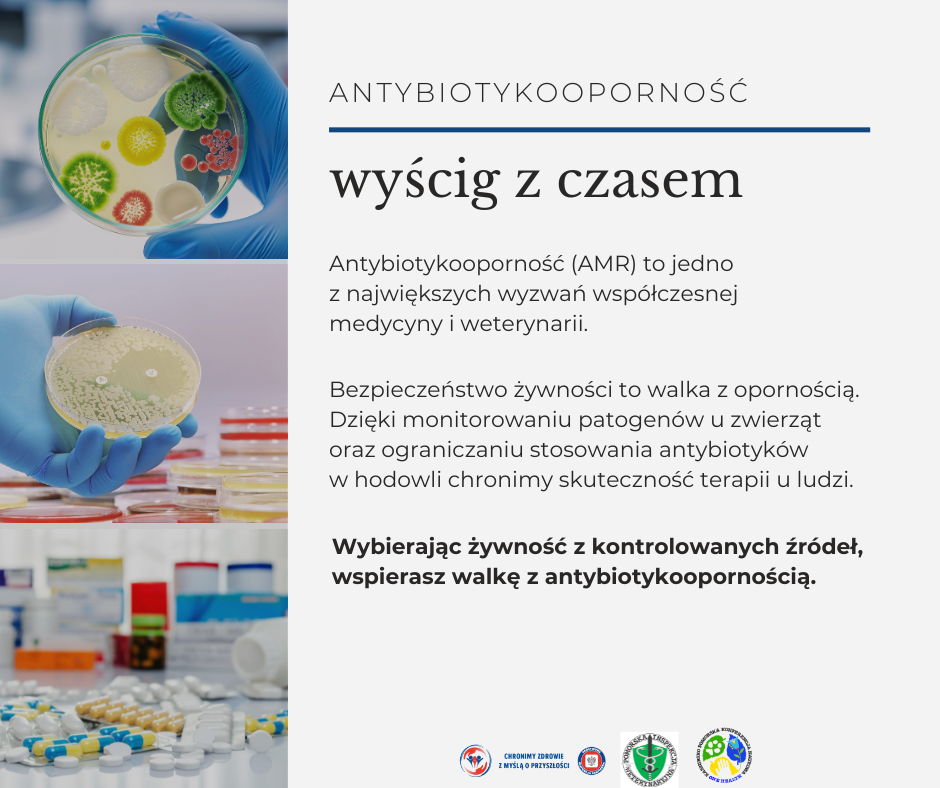 Baner z 3 zdjęciami 1 pr&oacute;b&oacute;wka z kolorowymi bakteriami 2 pr&oacute;b&oacute;wka z jasnymi bakteriami na tle innych pr&oacute;b&oacute;wek 3 rozsypane leki na blacie