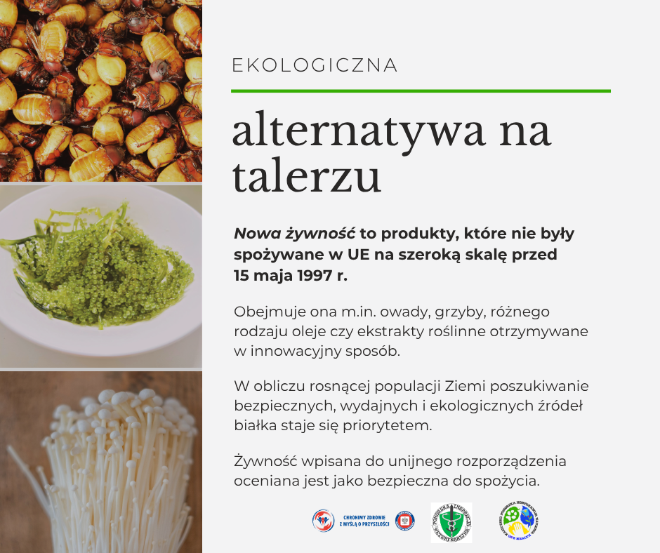 Baner z 3 zdjęć, 1 z ż&oacute;łtymi larwami 2 z zielonymi kulkami na białym talerzu 3 z białymi długimi grzybami