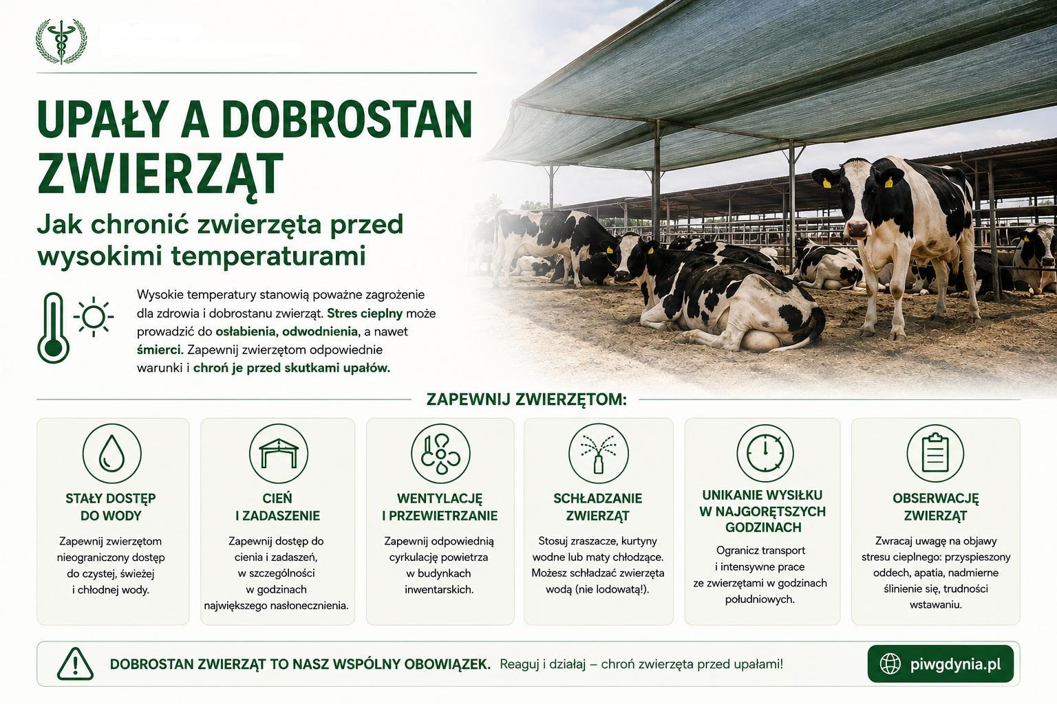 Infografika Państwowej Inspekcji Weterynaryjnej przedstawiająca zasady ochrony zwierząt przed upałami, w tym zapewnienie dostępu do wody, cienia, wentylacji, chłodzenia oraz obserwację objaw&oacute;w stresu cieplnego.