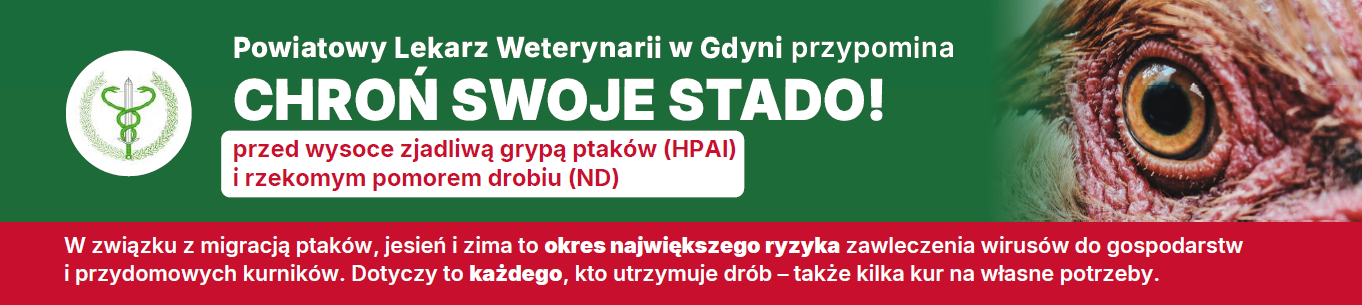 Ulotka Powiatowego Lekarza Weterynarii w Gdyni o ochronie drobiu przed grypą ptak&oacute;w (HPAI) i rzekomym pomorem drobiu (ND): zasady bioasekuracji, zasady bezpiecznego zakupu drobiu, objawy obu chor&oacute;b oraz obowiązek zgłaszania podejrzenia choroby, tel. 58 622 31 66.